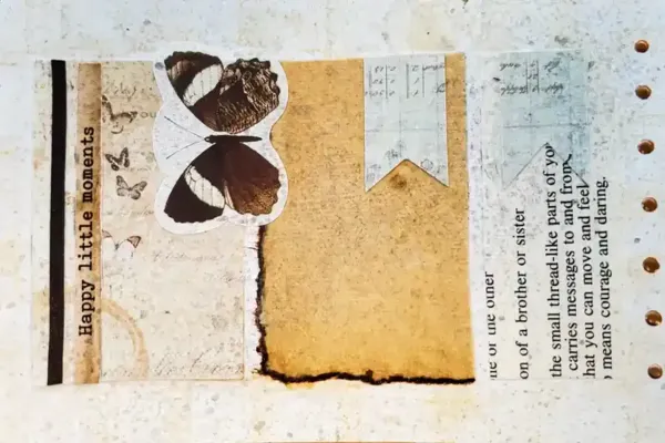 20260203_135559 copy.webp