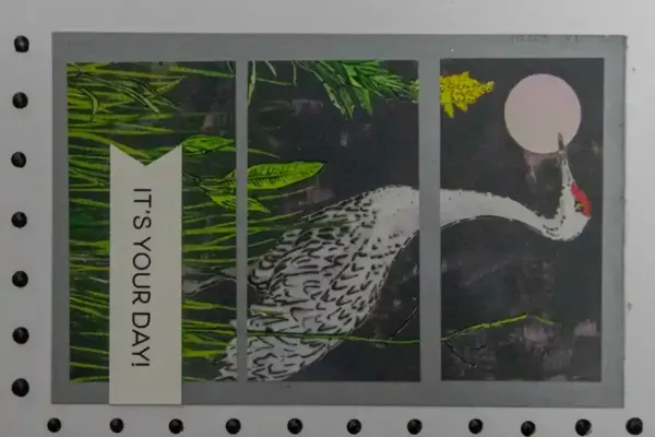 IMG_8236.crop copy.webp